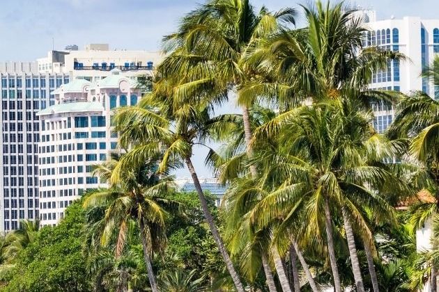 Hire a Private Chef in Fort Lauderdale for Airbnb and Vacation Rentals