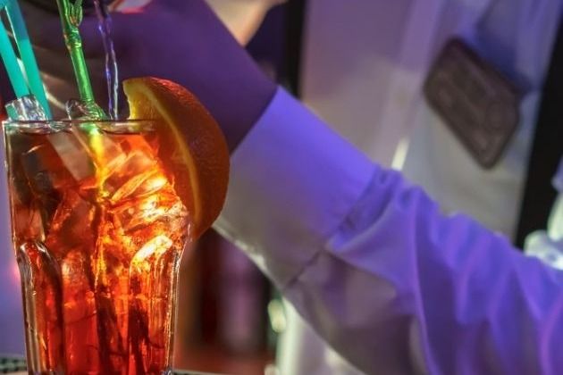 How Much Does a Bartender for a Party Cost in Fredericksburg, Texas? (2026 Guide)