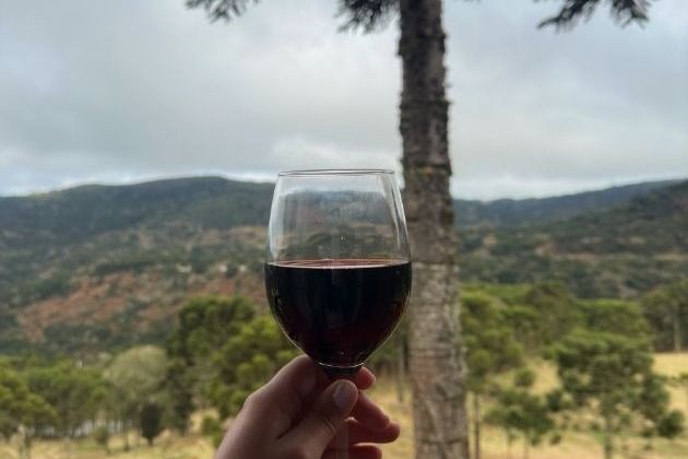 Top Private Chef Dinner Experiences After a Fredericksburg Wine Tour