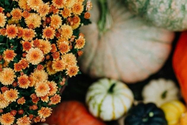 Hire a Private Chef for Thanksgiving in Los Angeles (2026)