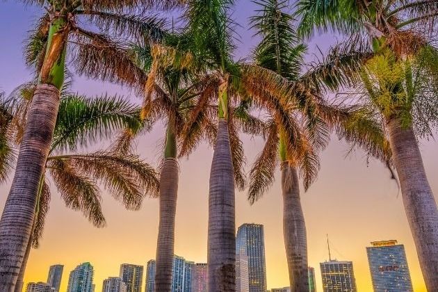 Best Private Chef Dinner Ideas for Miami Airbnb Vacations